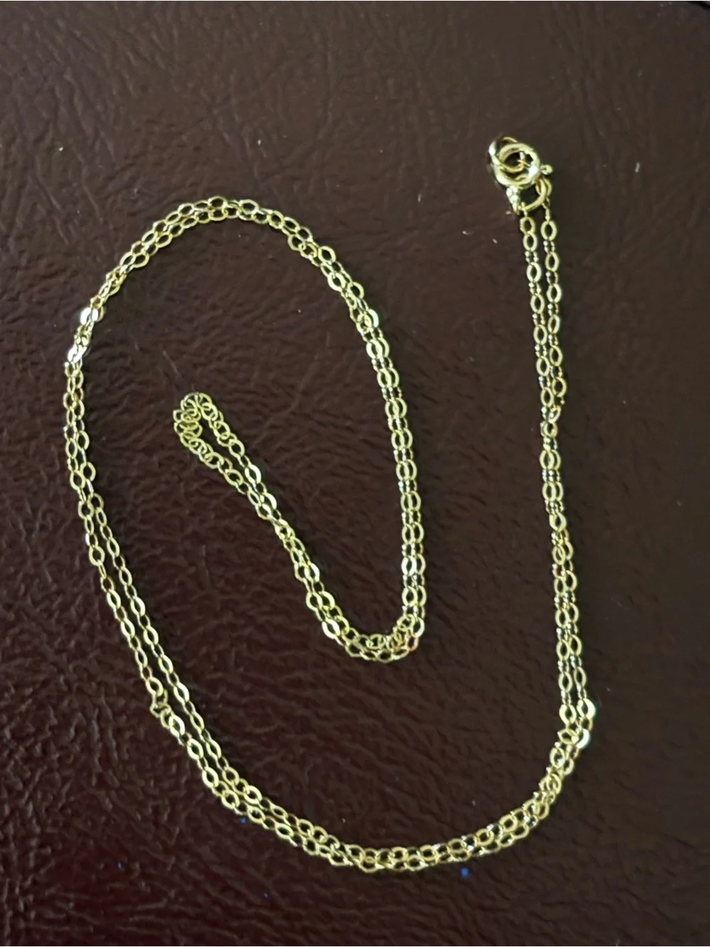 Delicate 10 KT Gold Chain Necklace
